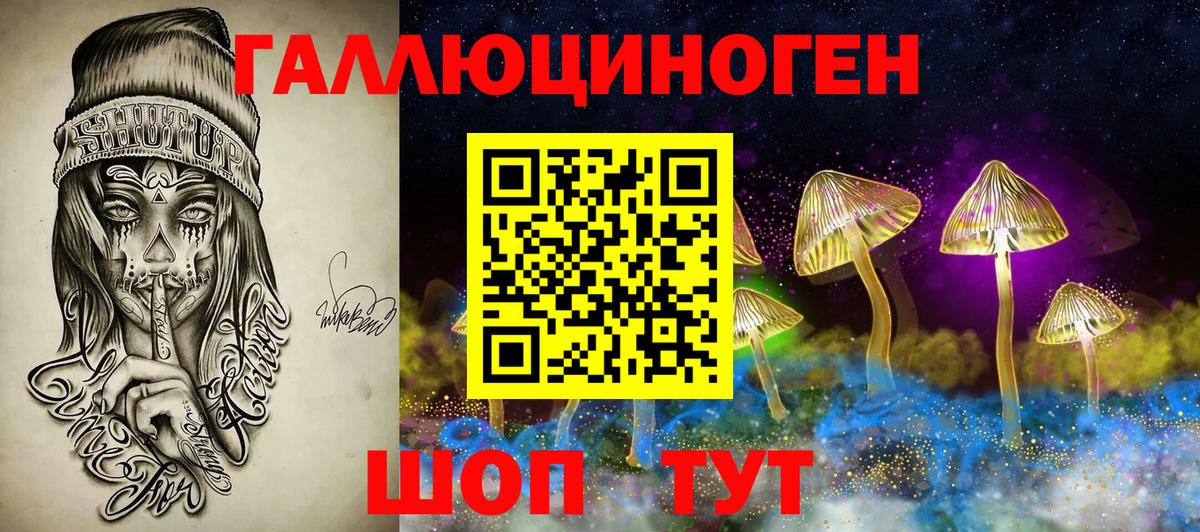 Петрозаводск  Галлюциногенные грибы Cubensis  Вход с VPN 